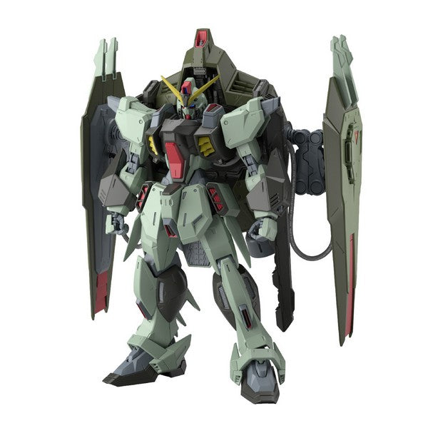 Gundam Seed Gundam Forbidden