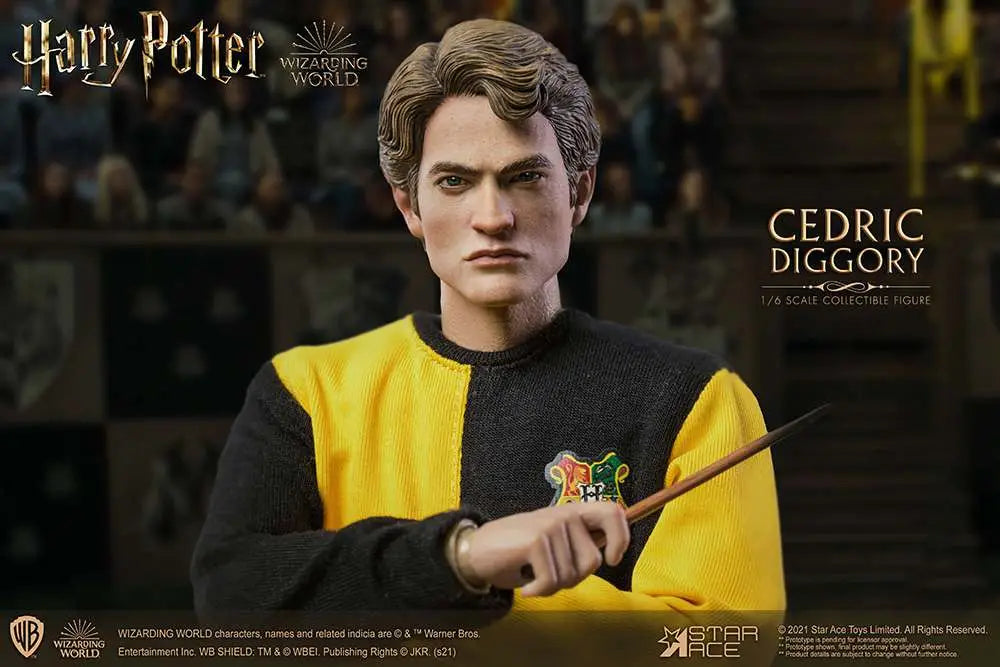 Harry Potter Cedric Diggory 1/6 Action Figure
