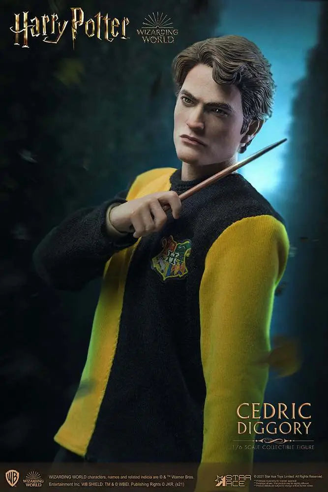 Harry Potter Cedric Diggory 1/6 Action Figure