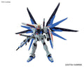 Real Grade Freedom Gundam RG Bandai