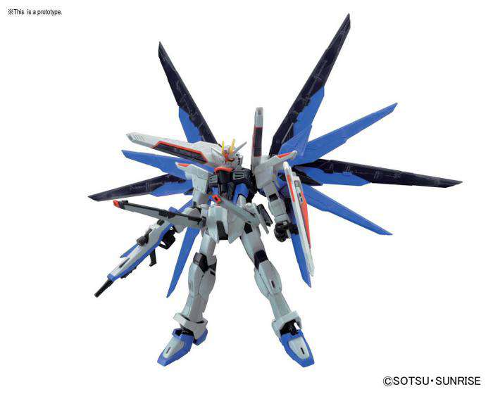 Real Grade Freedom Gundam RG Bandai