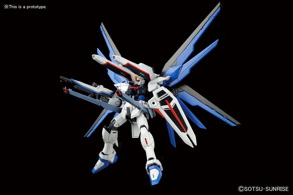 Freedom Gundam HGCE