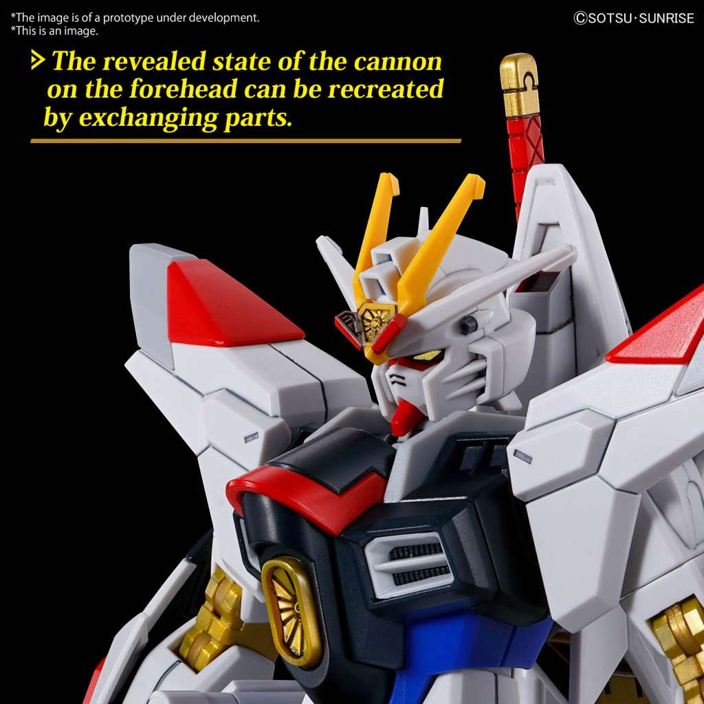 Hg Gundam Mighty Strike Freedom
