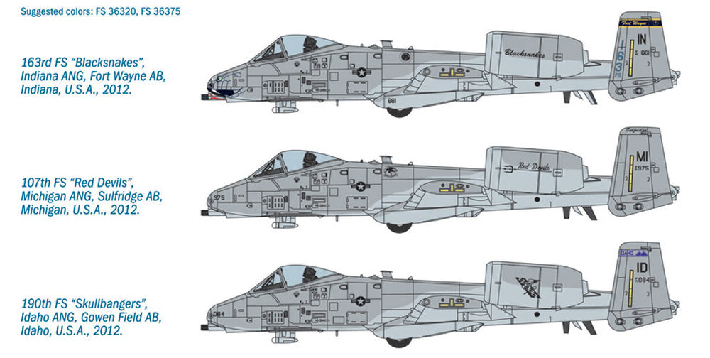 A-10C Blacksnackes