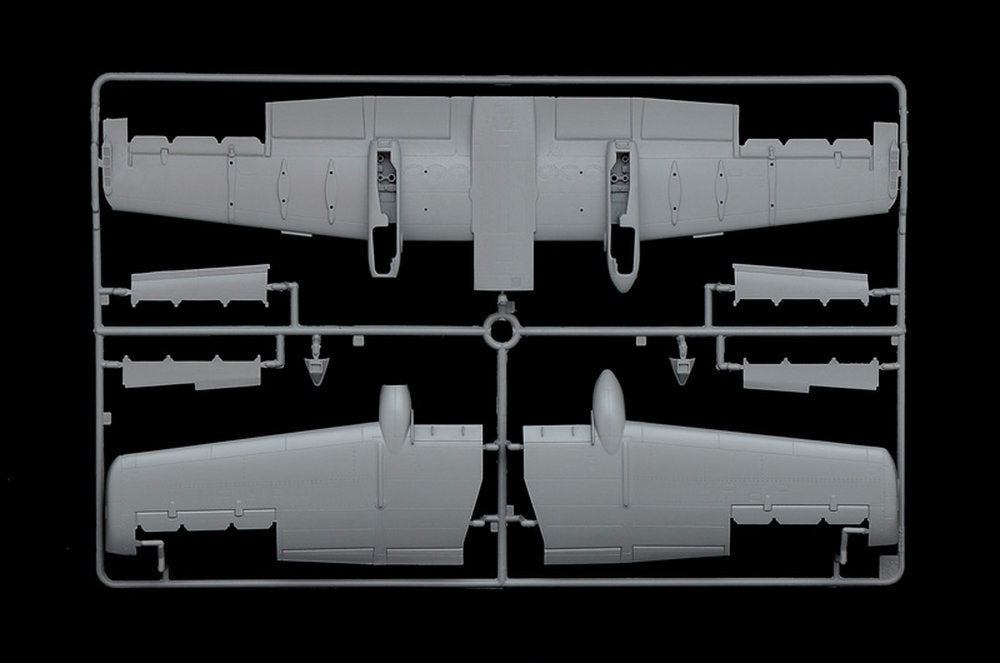 A-10C Blacksnackes