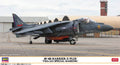 AV-8B HARRIER II PLUS "VMA-223 SPECIAL MARKING“
