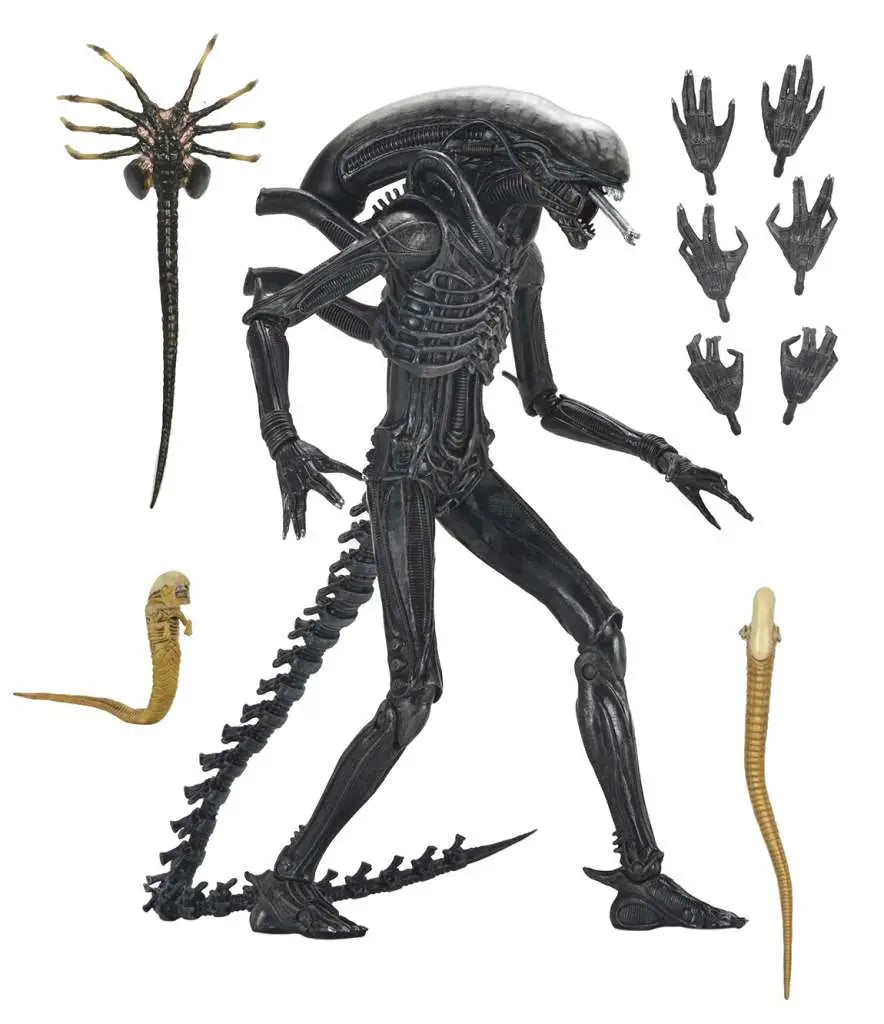 Alien Romulus Xenomorph Xx121 Ultimate