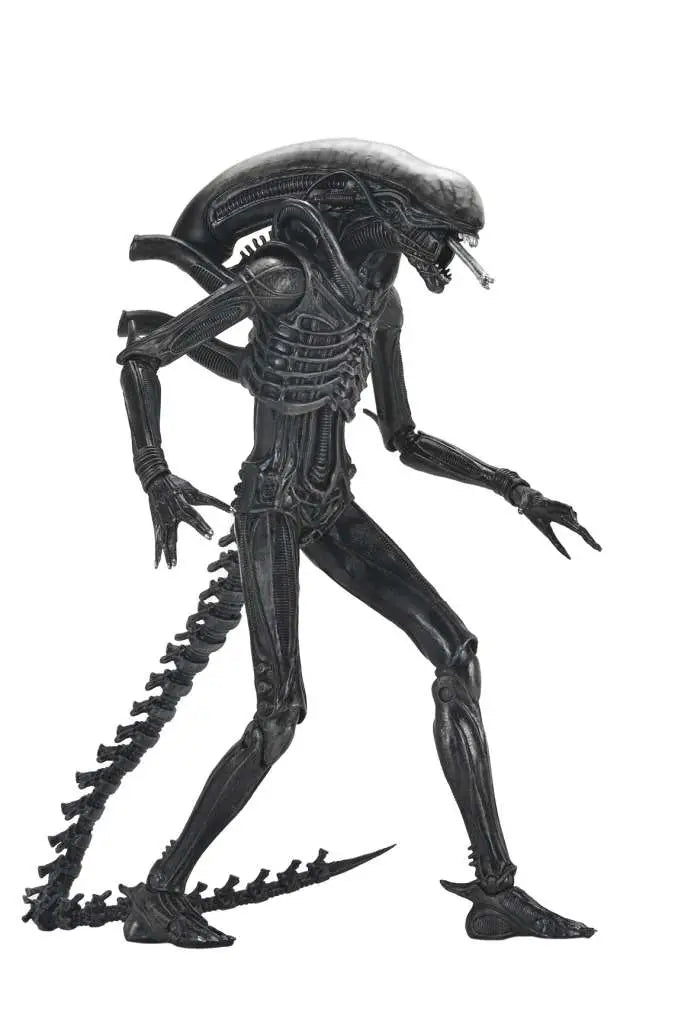 Alien Romulus Xenomorph Xx121 Ultimate
