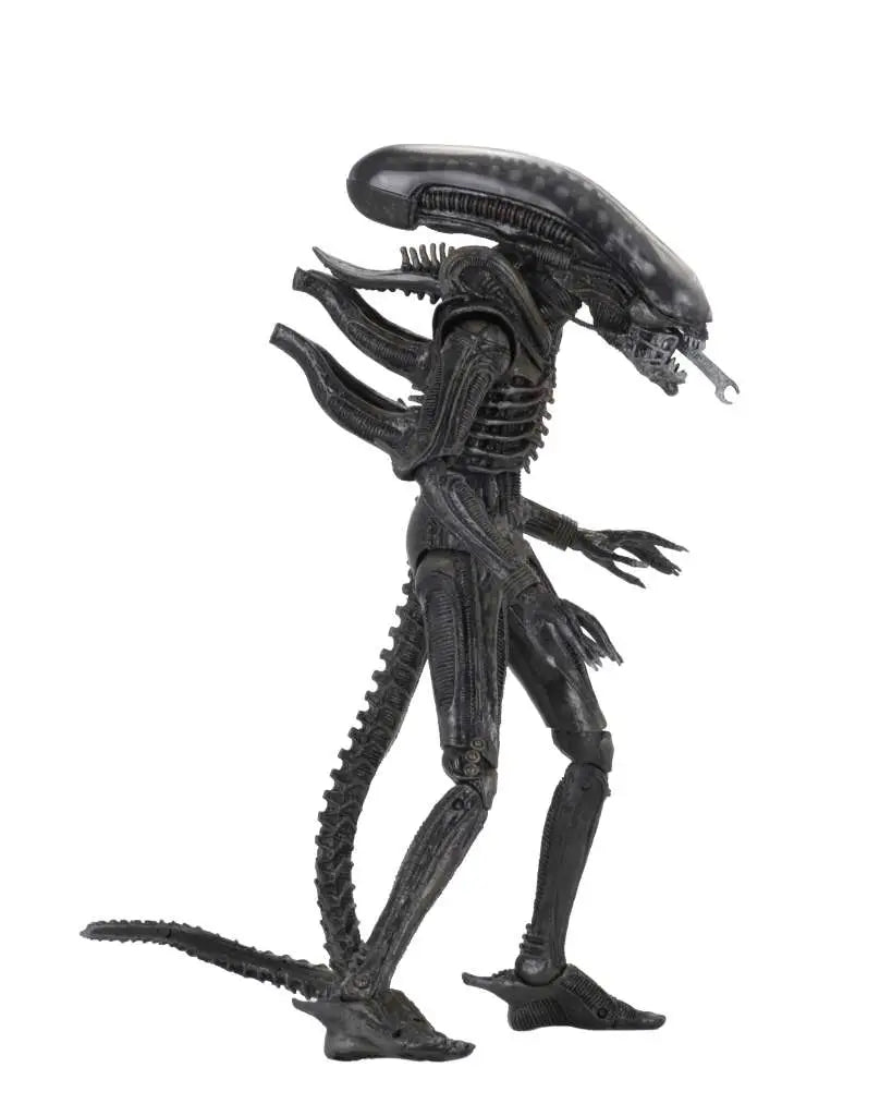 Alien Ultimate 40th Anniversary Big Chap Af