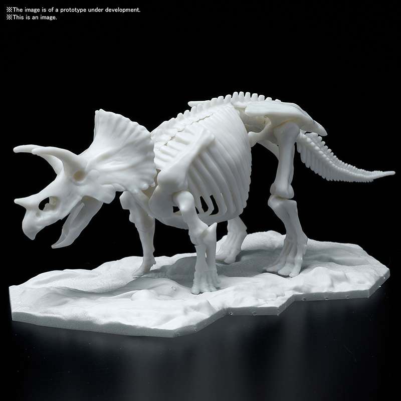 Dinosaur Limex Skeleton Triceratops Model kit