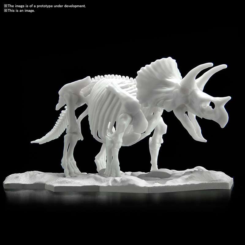 Dinosaur Limex Skeleton Triceratops Model kit