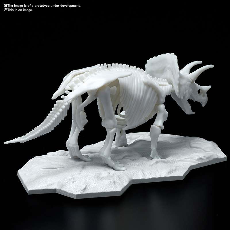 Dinosaur Limex Skeleton Triceratops Model kit