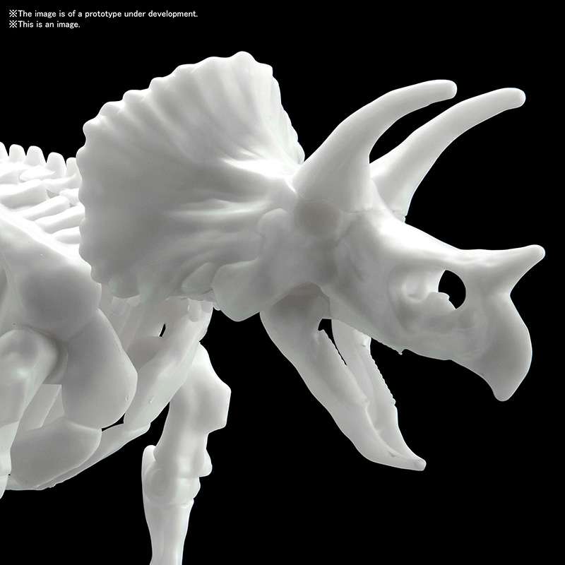 Dinosaur Limex Skeleton Triceratops Model kit