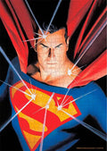DC Universe Superman Puzzle