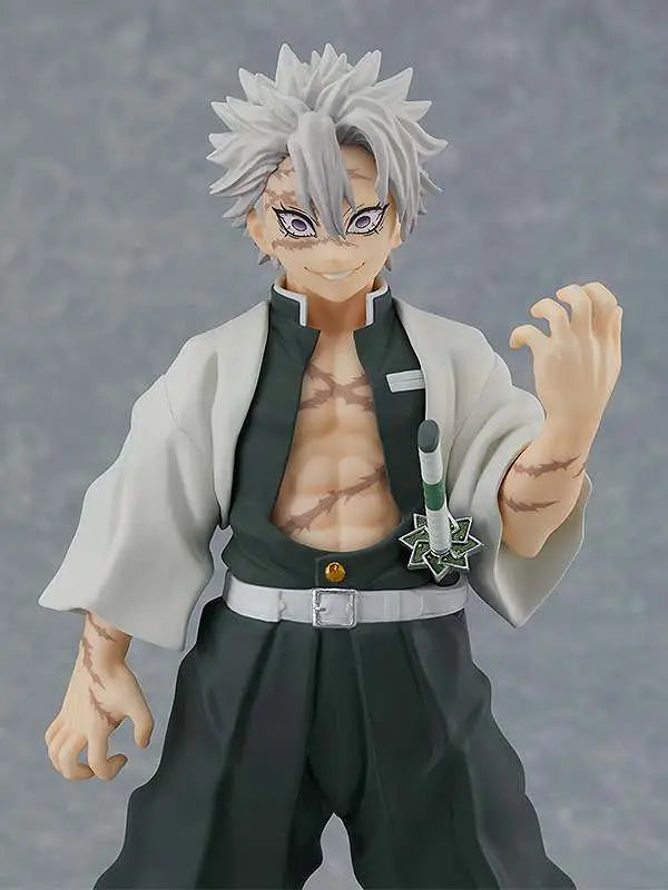 Demon Slayer Sanemi Shinazugawa Pup