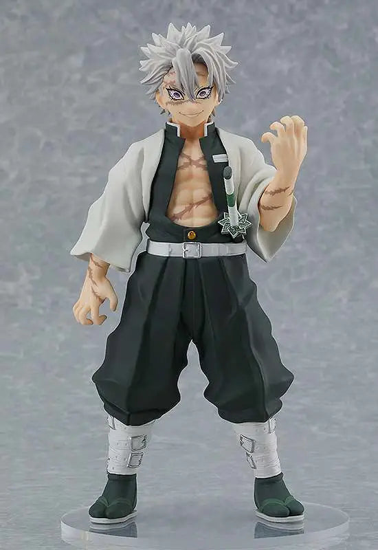 Demon Slayer Sanemi Shinazugawa Pup