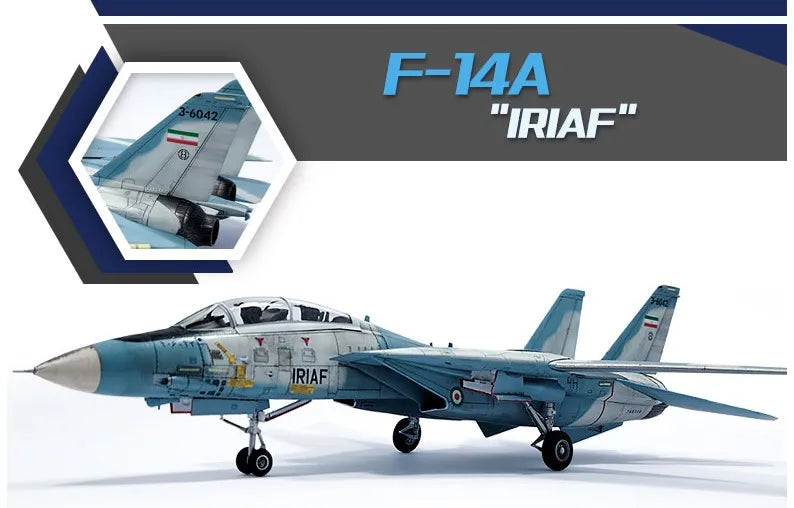 F-14A IRIAF