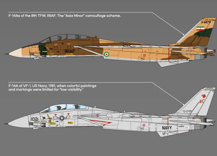 F-14A IRIAF