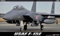 USAF F-15E `Seymour Johnson`