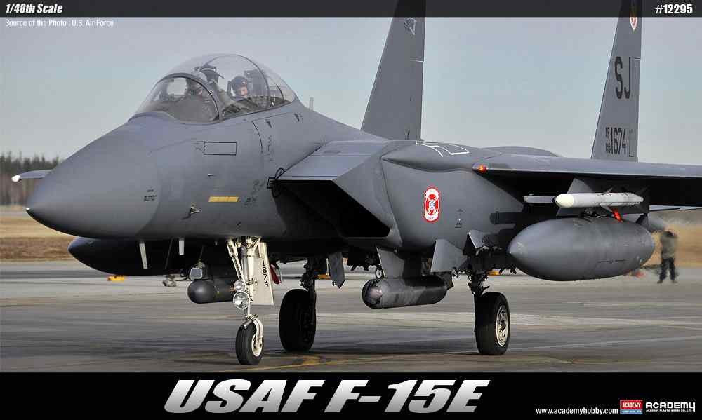 USAF F-15E `Seymour Johnson`
