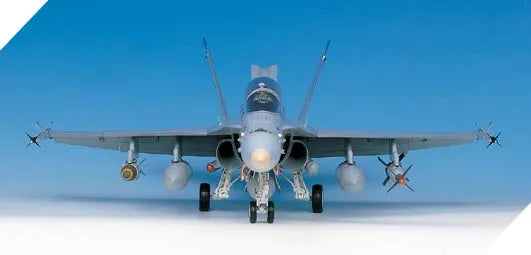 F/A-18D HORNET "NIGHT ATTACH"