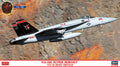 FA-18E Super Hornet VX-31 Dust Devils