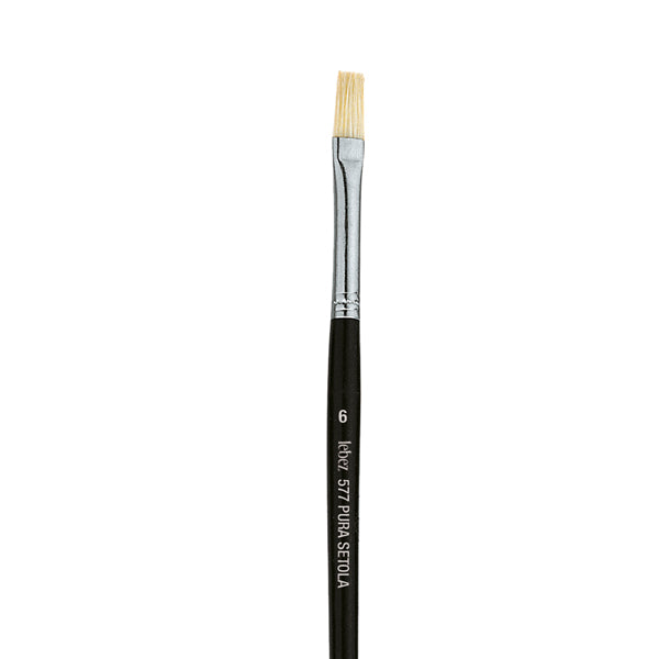 Flatbrush Lebez 6