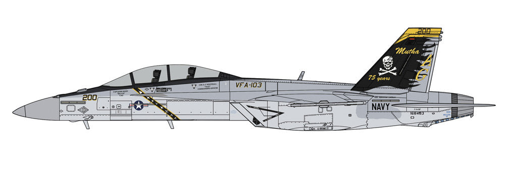F/A-18F Super Hornet Vfa-103 Jolly Rogers 75T