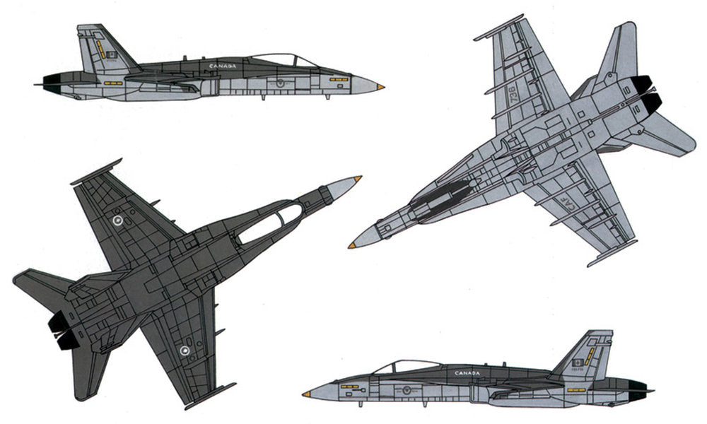 F/A-18 C/D Wild Weasel