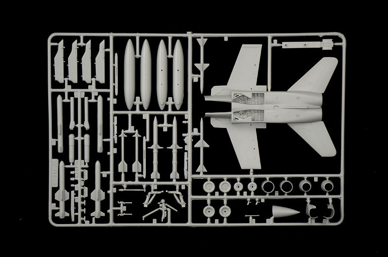 F/A 18 Hornet Suisse A.F./RAAF