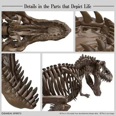 Imaginary Skeleton Tyrannosaurus