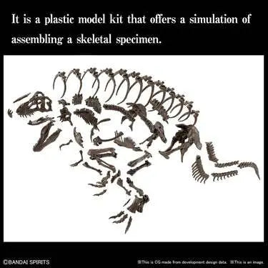 Imaginary Skeleton Tyrannosaurus