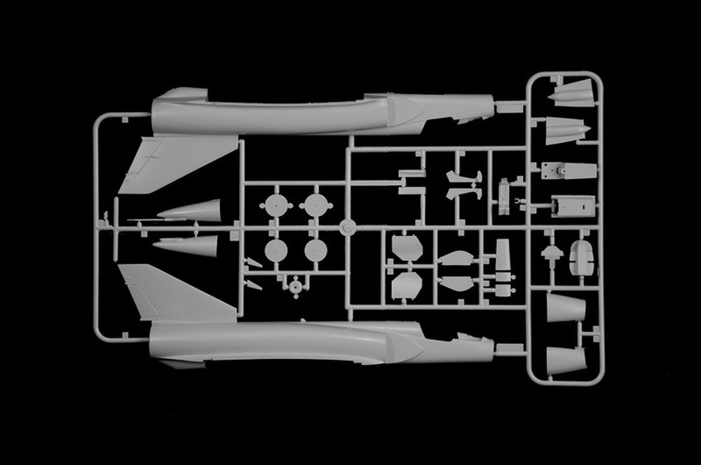 Mirage III E