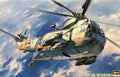 SH-3H Seaking