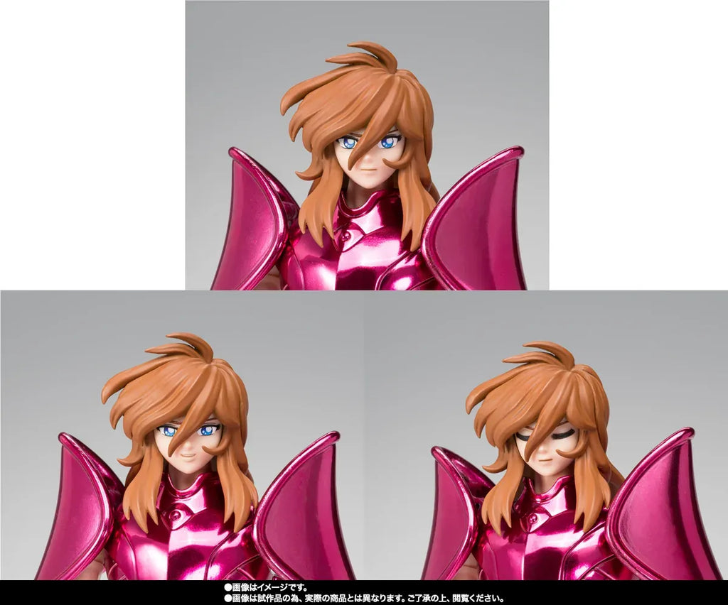 Saint Cloth Myth Ex Andromeda Shun Final Bronze Oce