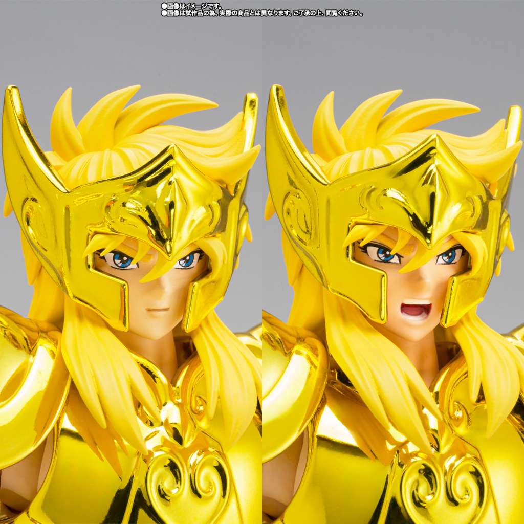Saint Cloth Myth Ex Aquarius Hyoga Inheritor Of The Gold Cloth