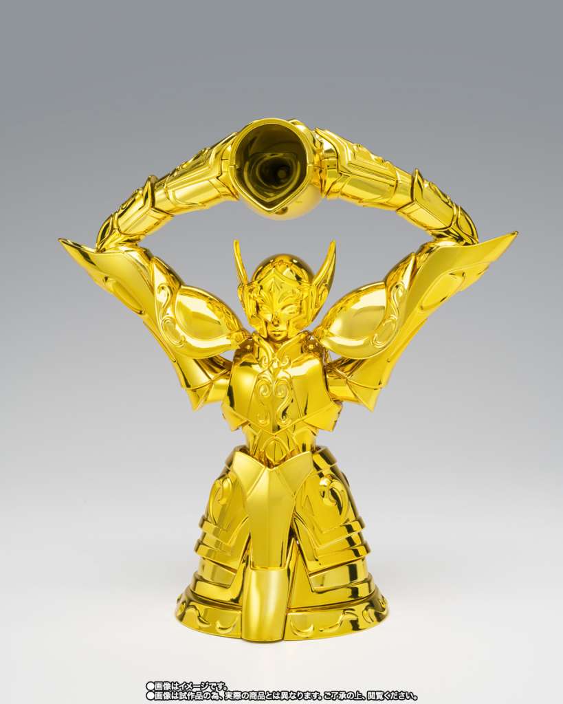 Saint Cloth Myth Ex Aquarius Hyoga Inheritor Of The Gold Cloth