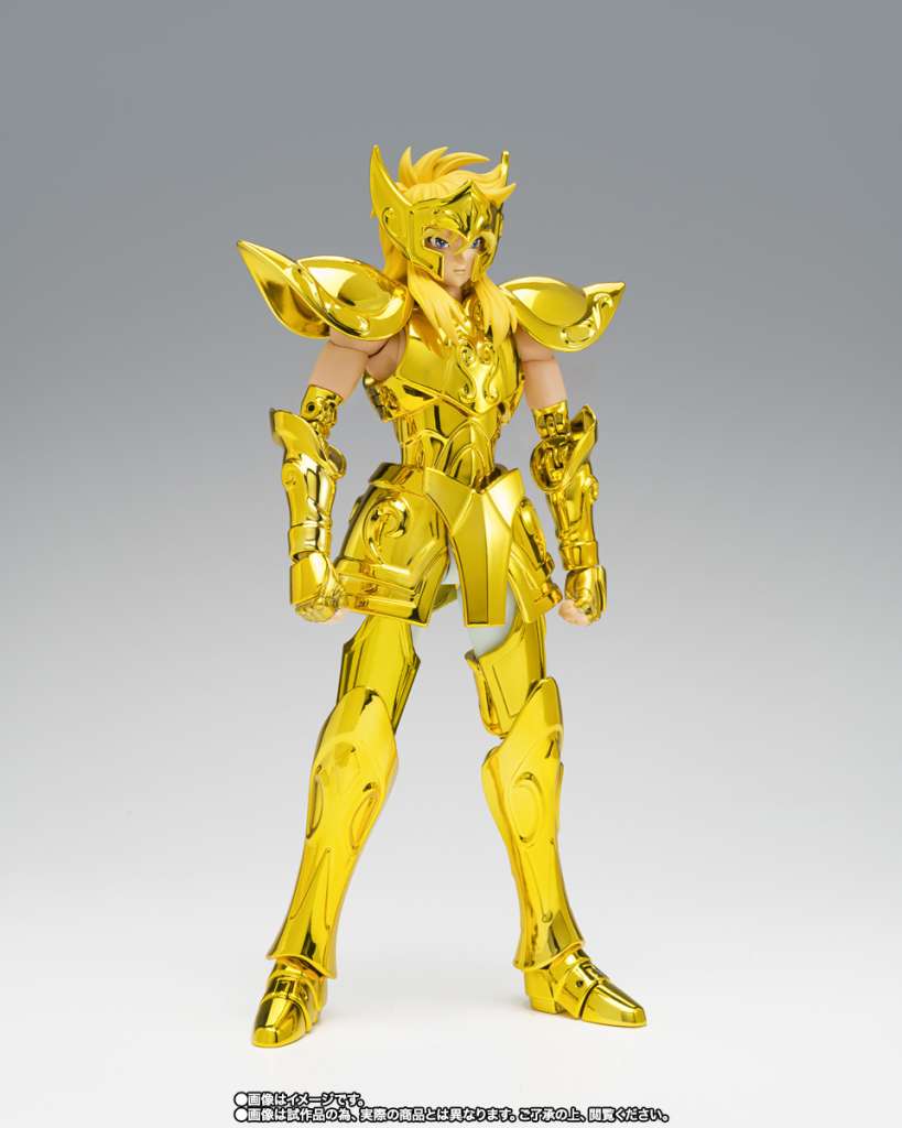 Saint Cloth Myth Ex Aquarius Hyoga Inheritor Of The Gold Cloth