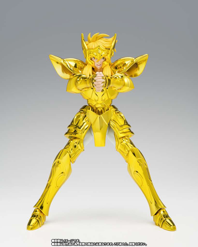 Saint Cloth Myth Ex Aquarius Hyoga Inheritor Of The Gold Cloth