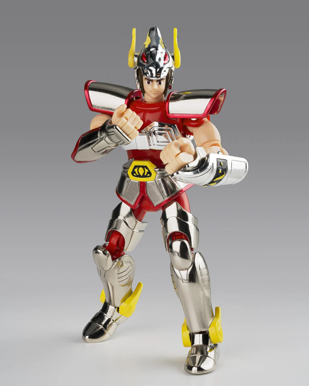 Saint Cloth Series Pegasus Cloth 1st Bronze -cloth Box Limited Edition-