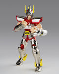 Saint Cloth Series Pegasus Cloth 1st Bronze -cloth Box Limited Edition-