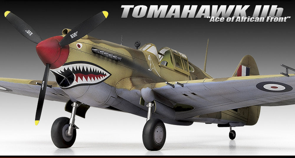 Tomahawk Mk.IIB P-40C African Ace