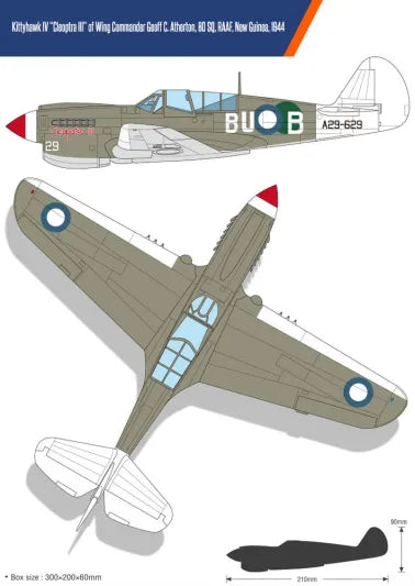 USAAF P-40N Battle of Imphal