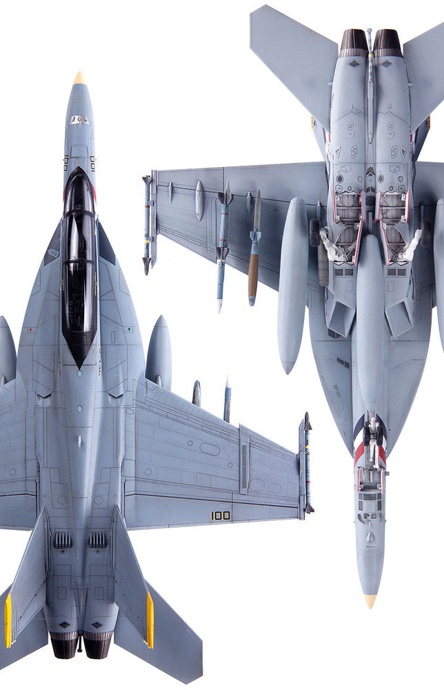 USN F/A-18E VFA-195 Chippy Ho 3