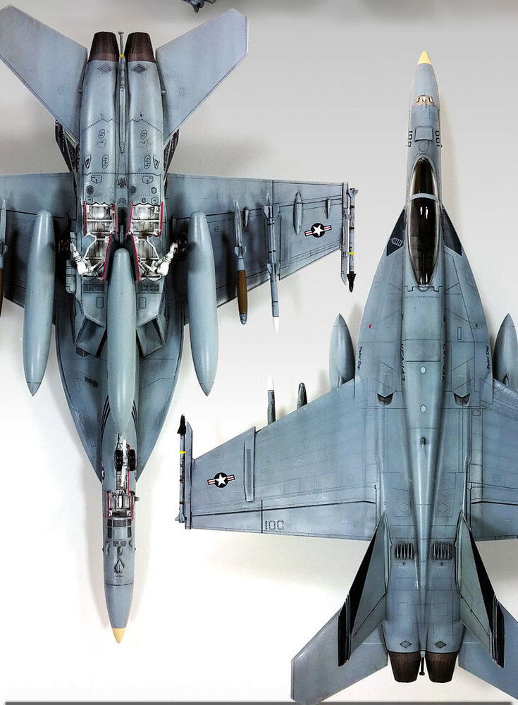 USN F7A-18E VFA-143 Pukin Dogs Academy