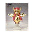 Tamashii Show 2010 ORIGINAL COLOR EDITION Saint Cloth Myth Appendix Aquarius Camus Original Color Edition