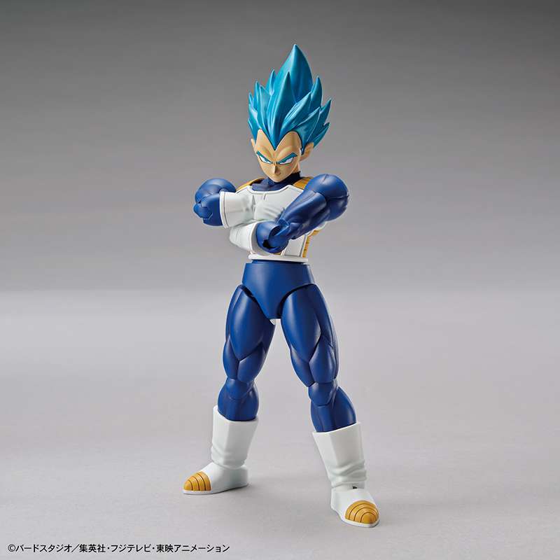 Figure Rise Super Saiyan God Vegeta