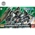 R09 Forbidden Gundam HG 1/144