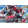 HGBDR Gundam Astray Type New MS
