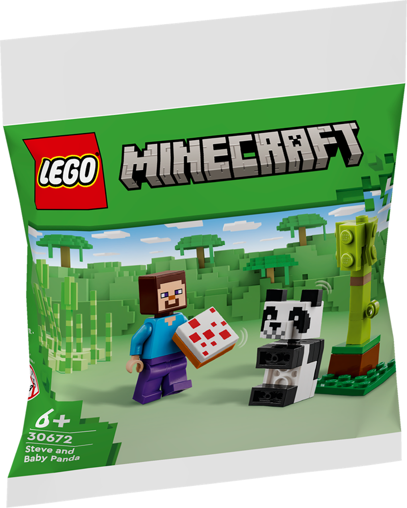 Lego Minecraft personaggio 30672